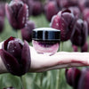 Black Tulip Eye Treatment Raintree Organics