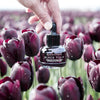 Black Tulip Overnight Retinoid Serum Bloomeffects