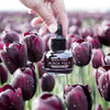 Black Tulip Overnight Retinoid Serum - Raintree Organics