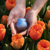 Royal Tulip Moisturizing Nectar (30ml) - Raintree Organics